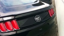 new Mustang Ecoboost vs V6 vs GT review of options