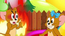 SNAKE TOM Tom and Jerry Full Episodes #Cartoon For Kid #Animation Movies Baby #Disney Movie