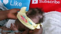 Reborn Baby Dolls MORNING ROUTINE! Newborn Baby Dolls! Change Diaper Drink Bottle Change C