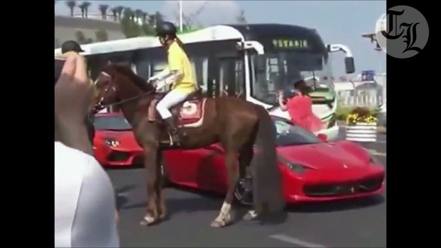 Cheval VS Ferrari - grand coup de sabot dans la voiture