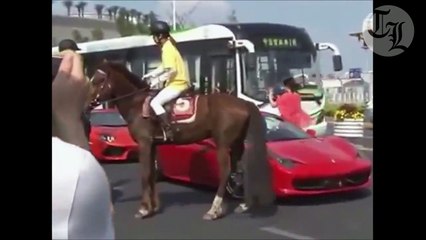 Cheval VS Ferrari - grand coup de sabot dans la voiture