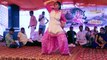 सपना ने करी सारी हदें पार | New Sapna Dance 2017 | Sapna Hot Stage Dance, Haryanvi Song 20