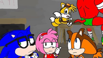 Sonic Meets Sticks the Badger