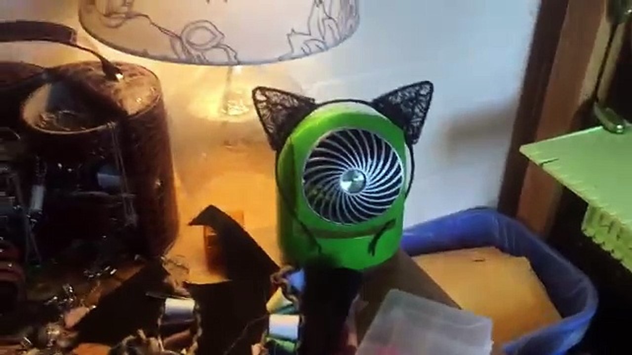 COLLEGE DORM ROOM Tour?! [ Picture w/ Obama???]