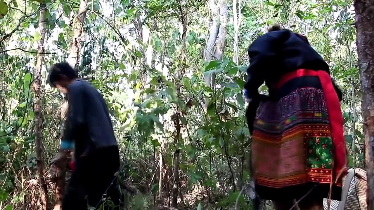 Wb Txoj Kev Hlub Yog Wb Txoj Siab 2017