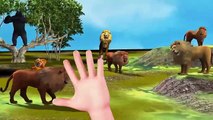 Camel Cartoons For Kids Downfall Of Camel Attack Videos Fearless Camel Running Finger Family Rhymes , Movies comedy action tv series 2018