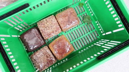 WEEKLY VLOG #36 ELE VOLTOU! | Alice Trewinnard