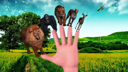 Download Video: Horse Cartoon Learn Wild Animals Finger Family Horse Nursery Rhymes Dinosaurs Fighting Horse Rhymes , Movies comedy action tv series 2018 part 1/2