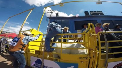 The Wild Horse Race in First Person