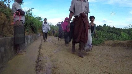 Arakanlı Müslümanlara Türk Yardım Kuruluşlarının Faaliyetleri Devam Ediyor - Cox's
