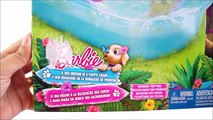 BARBIE - Minha Boneca Barbie Família e Pets na Piscina! Brinquedos KidsToys em Portugues