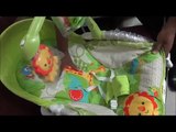 Fisher price new born to toddler rocker review | Best Baby Rockers