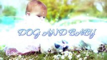 Baby Laughing at Labrador Dog because they are best friends | Dog loves Baby Compilation