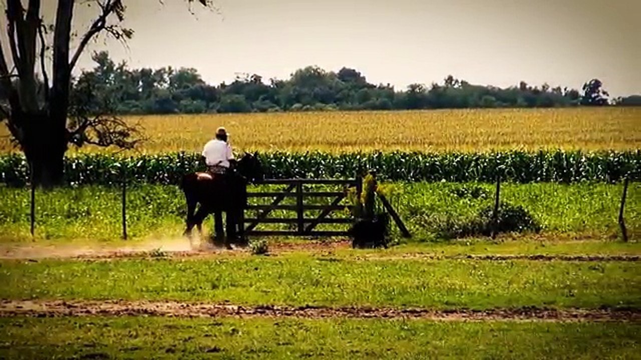 5 Strange Unexplained Phenomena