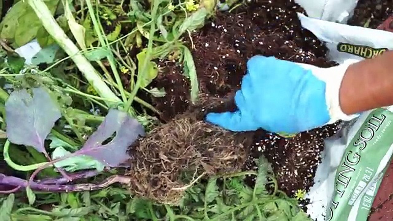 How To Make Compost - Easy Composting Tips