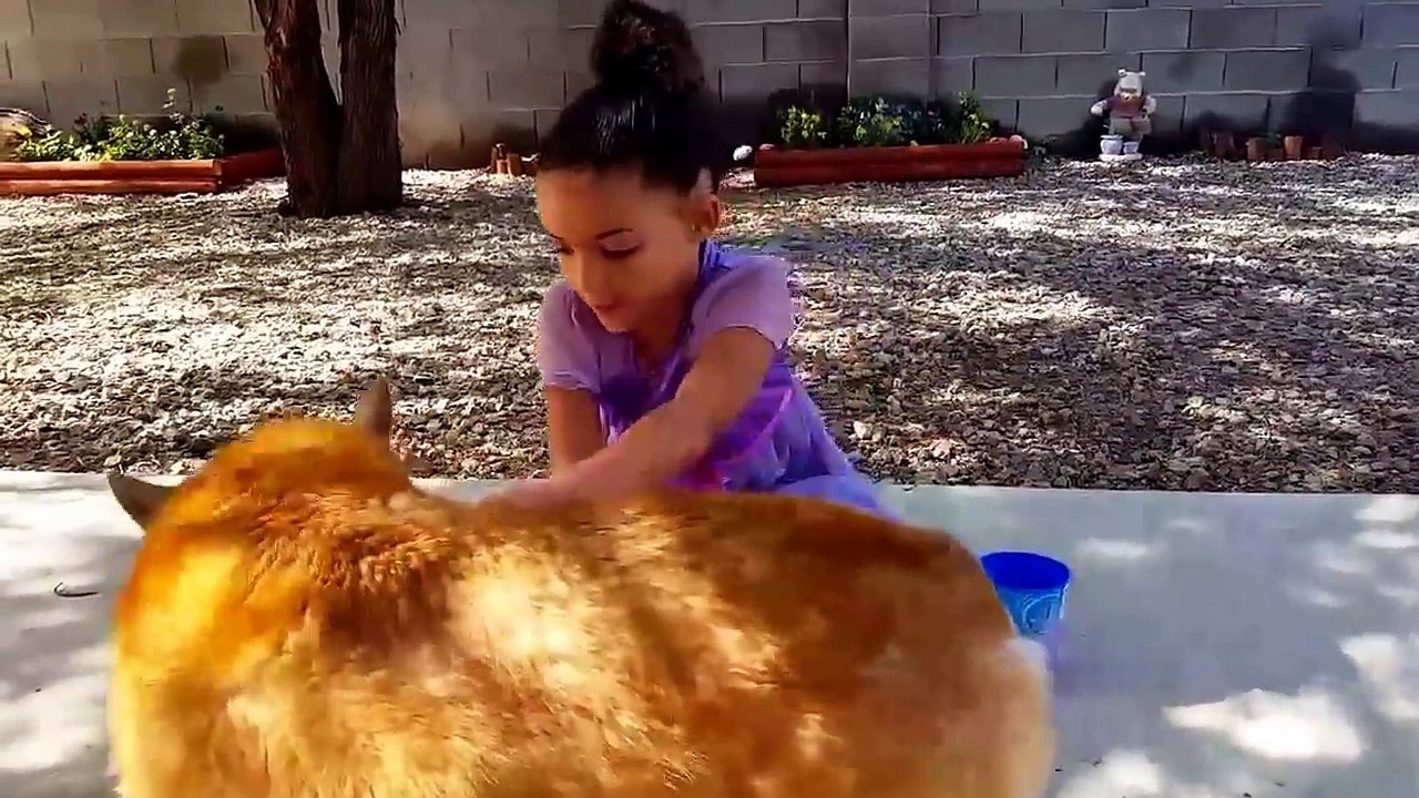 Mermaid Potion- How to make a mermaid potion.