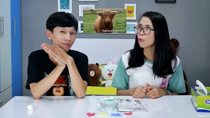 THÁCH ĐOÁN TÊN CON VẬT TRONG VIÊN THUỐC KÌ DIỆU