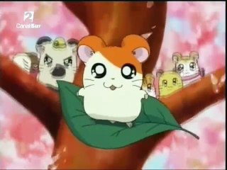 Opening Hamtaro [Castellano]