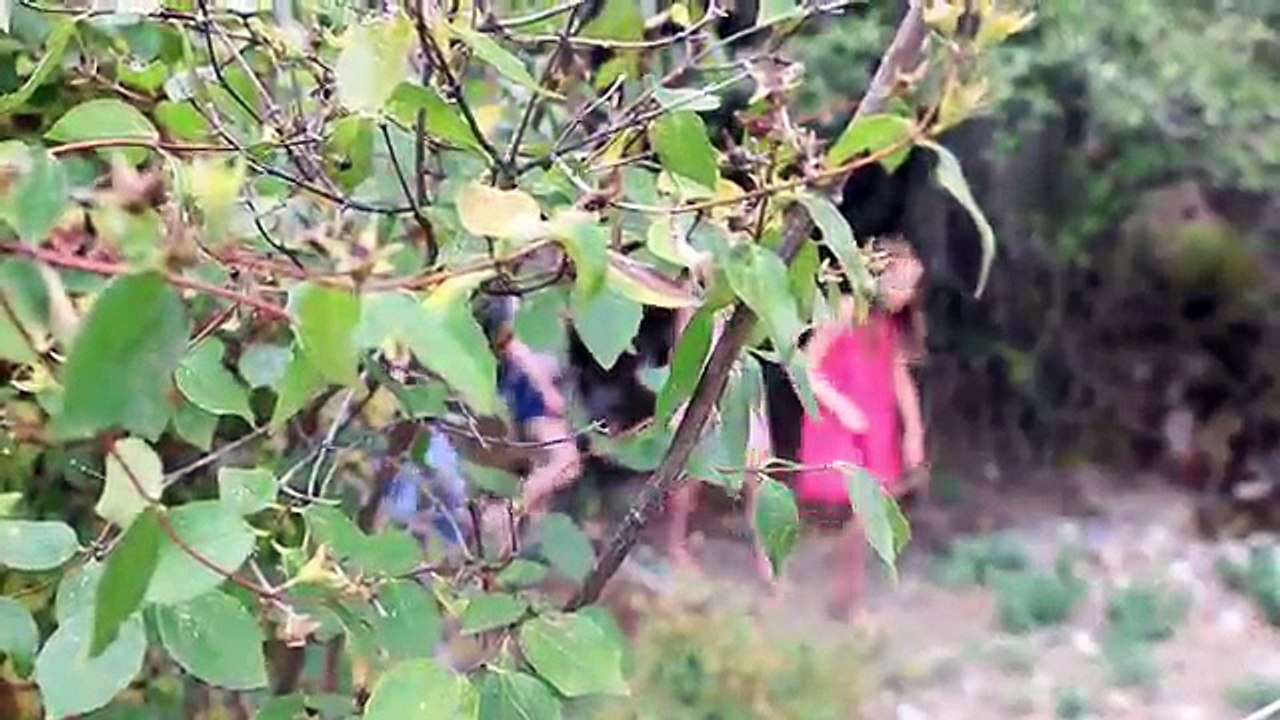 The REVENGE (Ep. 9) | A Mermaids Journey SEASON 3