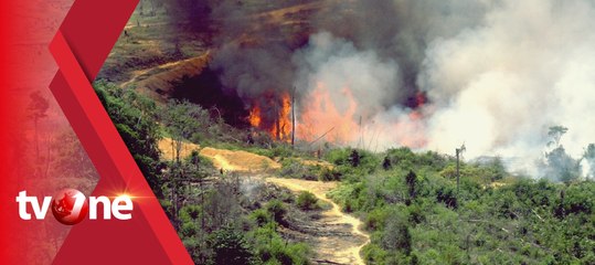 Diduga Sengaja, Kebakaran Hutan Melanda di Tanah Air