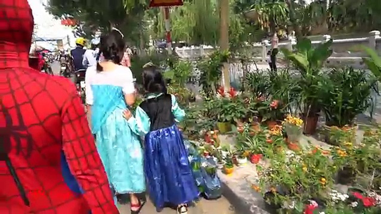 Nữ hoàng Elsa và người nhện