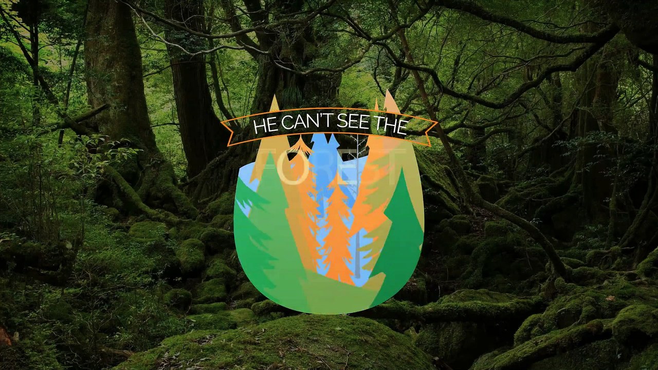 Logo Animation or Animated Your Logo by Graphics Designer