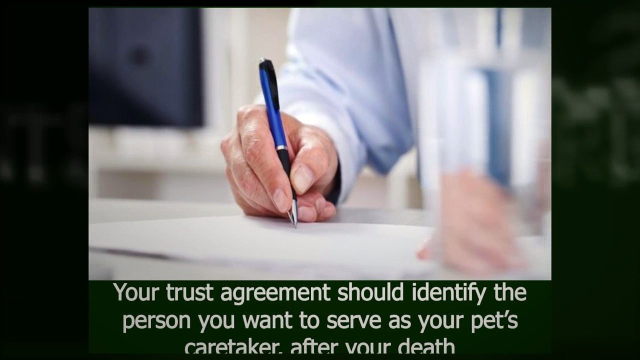 The Advantages and Disadvatages of Nevada Pet Trusts