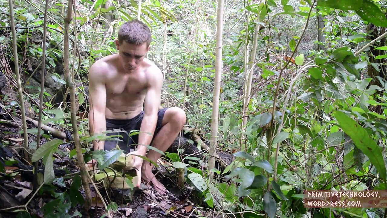 Primitive Technology: Bow and Arrow