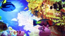 PEPPA PIG Toys SeaWorld Grand Opening ORCA Killer Whale Videos for Kids | SeaWorld Toys Episode 5