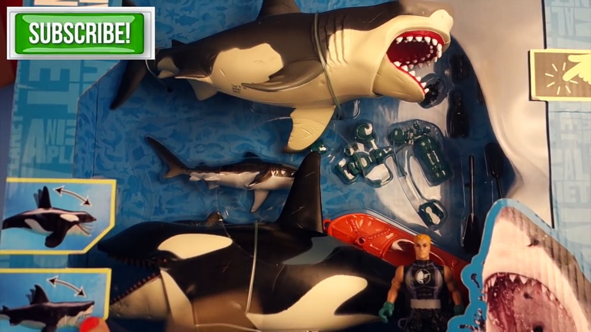 Shark Week! Animal Planet Mega Shark and Orca Encounter – Видео Dailymotion