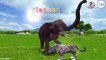 Afrique et animaux léléphant Anglais pour drôle dans enfants apprentissage des noms des sons sauvage |