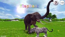 Afrique et animaux léléphant Anglais pour drôle dans enfants apprentissage des noms des sons sauvage |