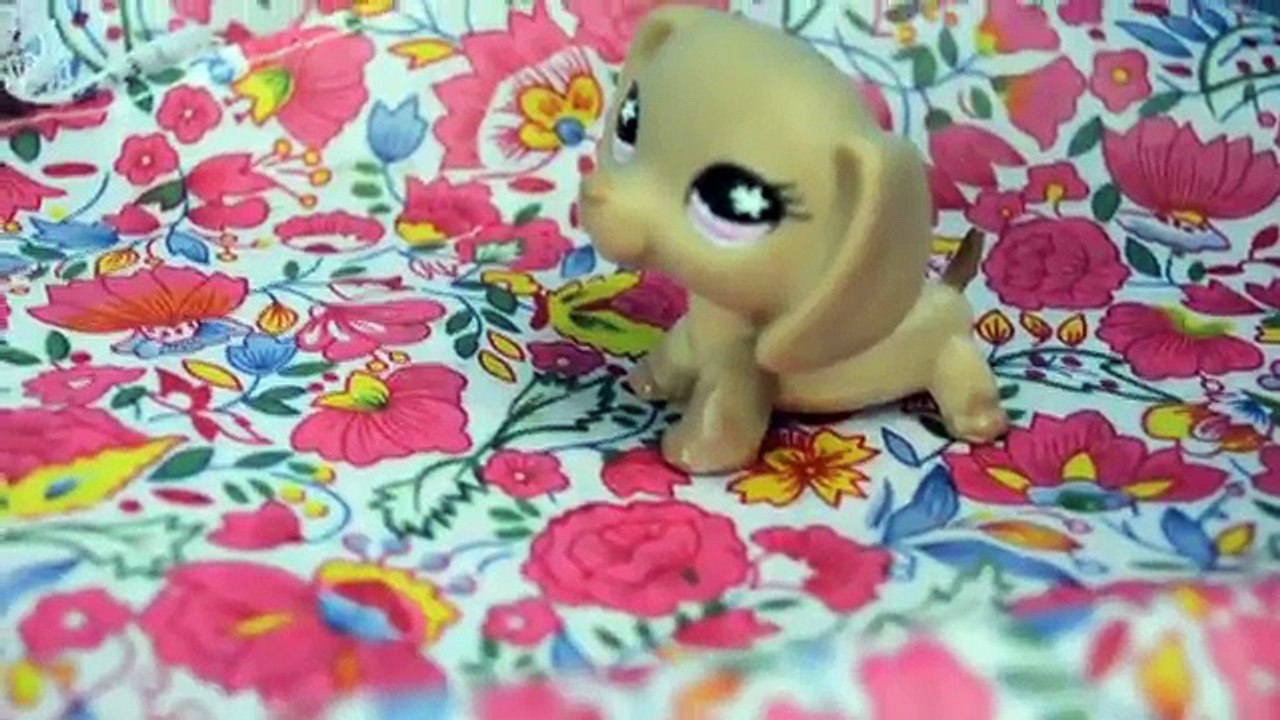 Anna And Elsa Toddlers BABY Shower Part 2 - Littlest Pet Shop videos