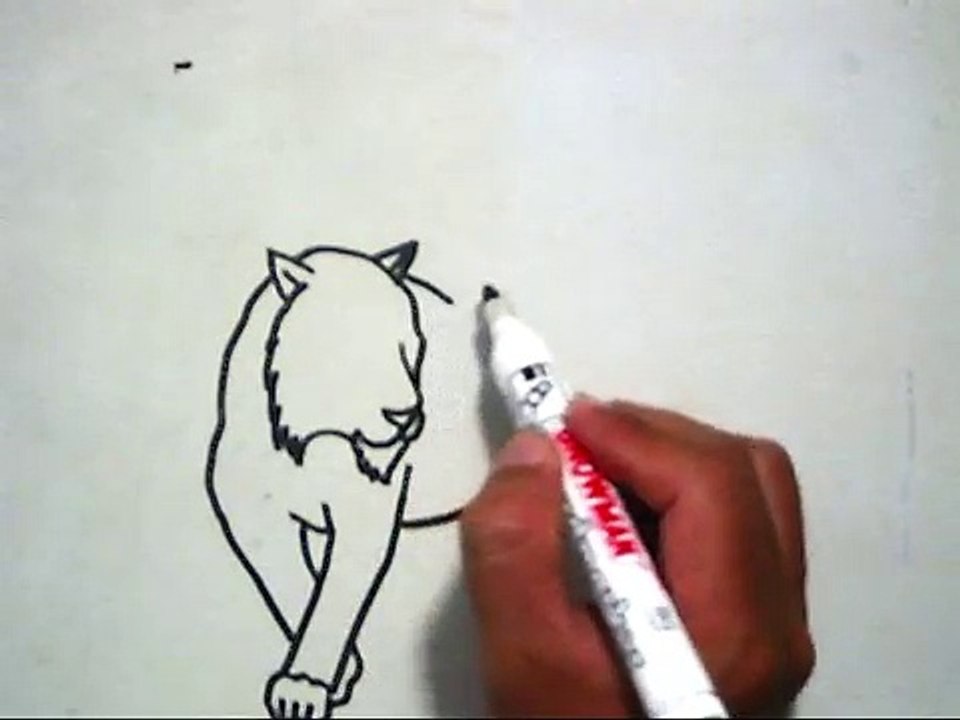 How to Draw a Tiger (Cara Menggambar Harimau)