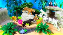 Zoo Toy Animal I Wild Animal Toys I Tigers Panther Jungle Book Kids learn animals in English