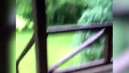 ANIMAL FAILS Videos of 2016 Weekly Compilation | Funny Pet Videos