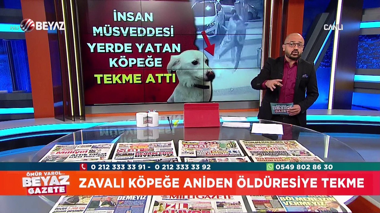Zavallı köpeği ölümüne tekmeleyen cani kim?