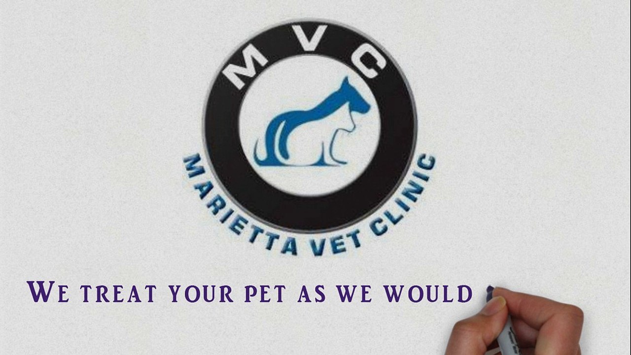 Top Marietta Vet