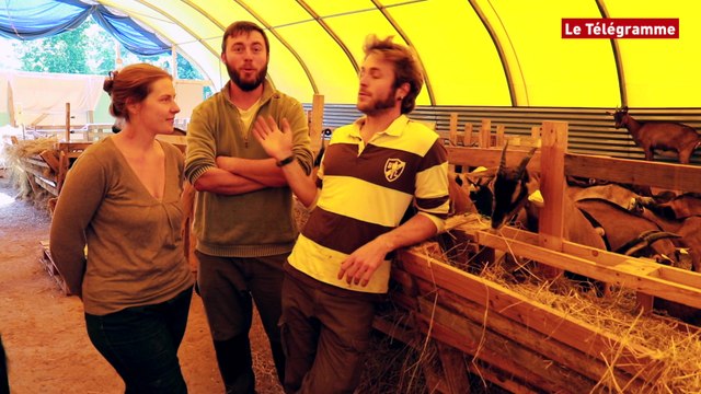 Pont-Scorff (56). Un élevage de chèvres vient d'ouvrir