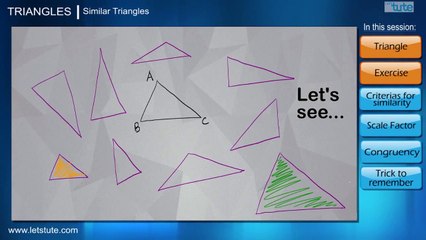Similar Triangles | Geometry | Math | LetsTute