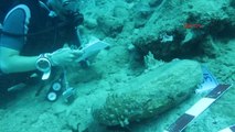 Antalya Mersin Kıyılarında 1000 ile 2700 Yıllık 18 Gemi Batığı Bulundu