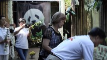 Bye bye Basi: World's oldest captive panda dies