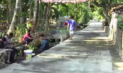 Kolam Ikan di selokan