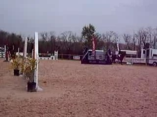 Lorie et jonker sauvageonne,       préparatoire 1m 05