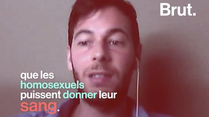 Don du sang pour les homosexuels : la réglementation fait débat