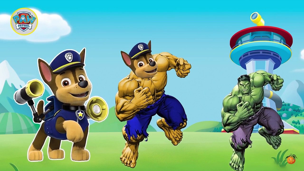 Щенячий патруль как Халк Семья пальчиков на русском - Маршал, Чейз, Роки, Зума Песенка про пальчики