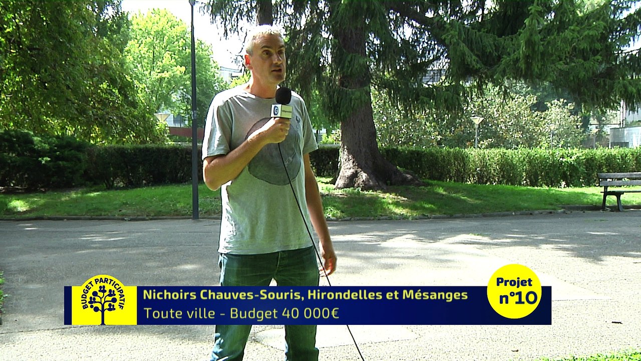 Budget Participatif - Nichoirs Chauves Souris, Hirondelles et Mésanges