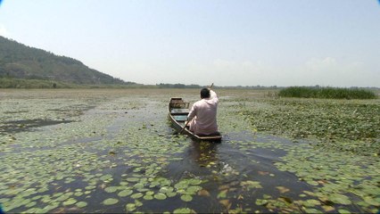 Restoring Wular: Clogged lake dying in Kashmir