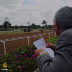 Horses of misfortune