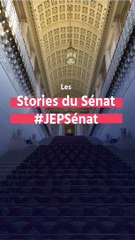 Story du Sénat : ce qu'il faut savoir sur les Journées européennes du patrimoine 2017